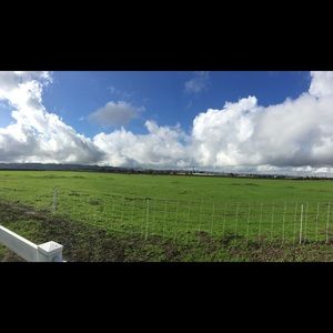 Meet your Posher, Omar